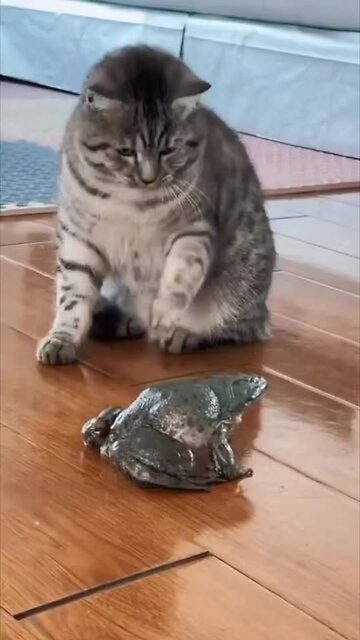 what kind of animal is this