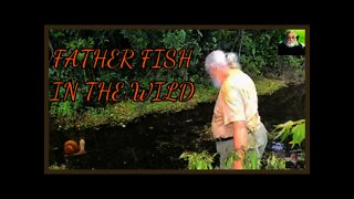 NEVER SEEN A FATHER FISH VIDEO?