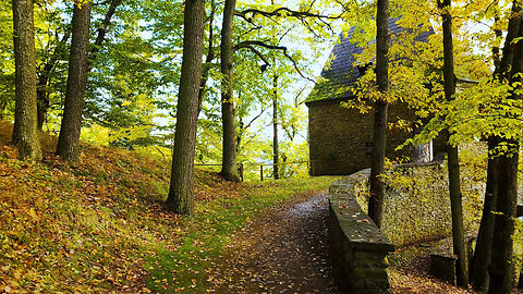 The Mausoleum In The Forest - ASMR Relaxing Virtual Forest Walk Nature Sounds No Music