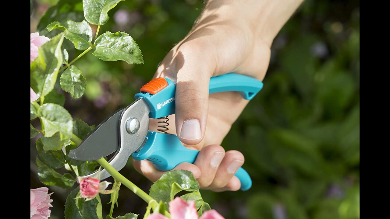 Gardena classic gartenschere aktion: pflanzenschonende baumschere mit bypass-schneide für blumen
