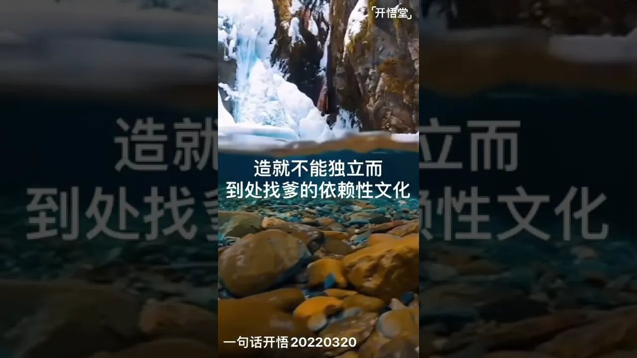 一句话开悟20220320