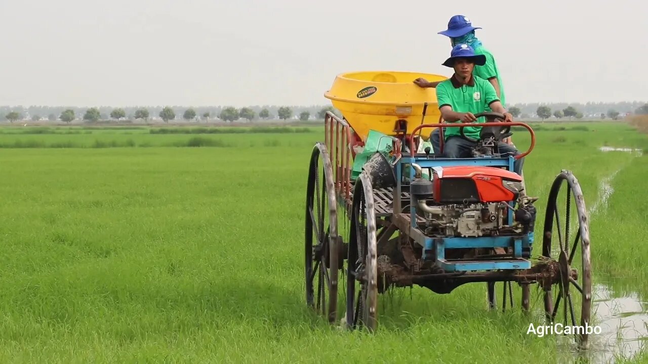 How to apply fertilizer quickly? #Fertilizer #agriculturecambodia