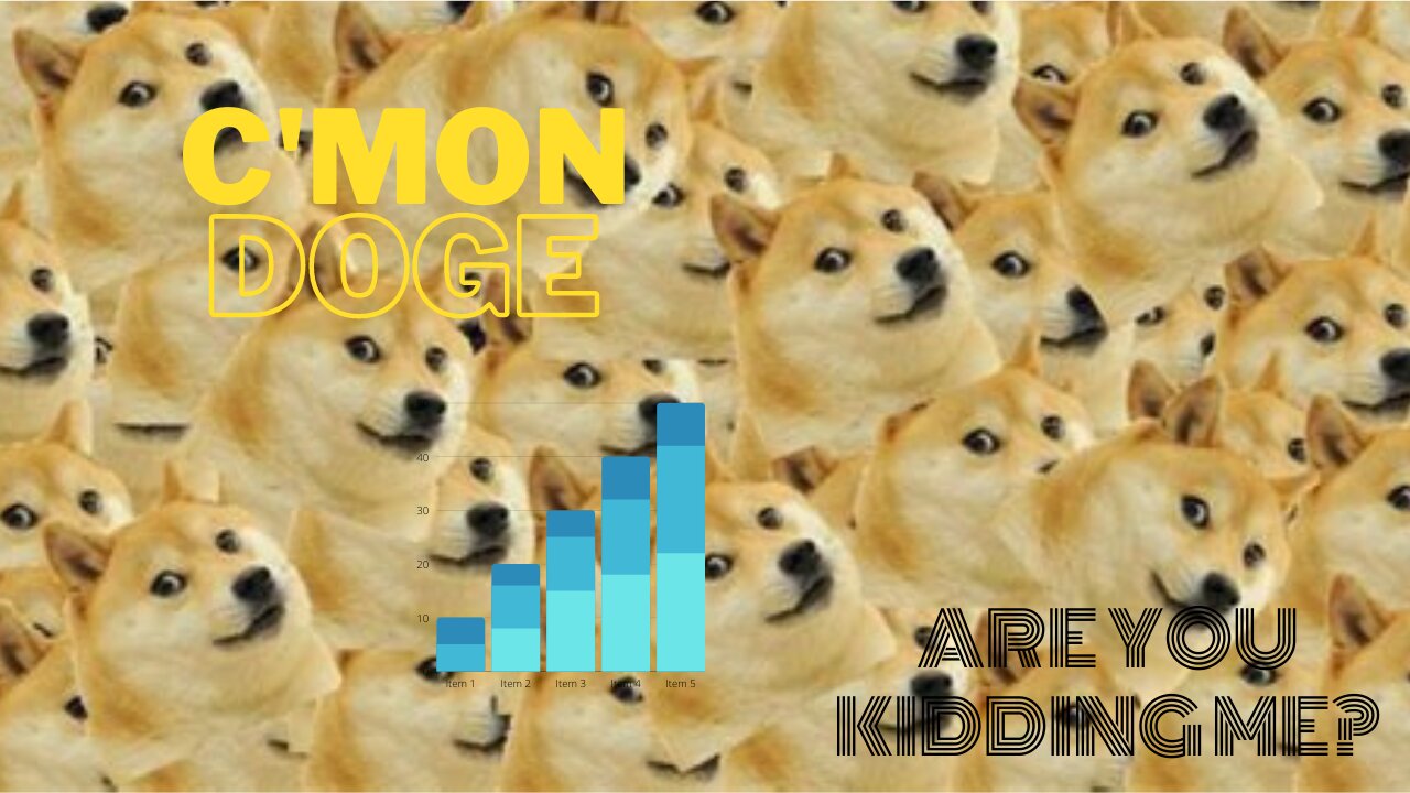 C'mon DOGE, Are you Kidding me?