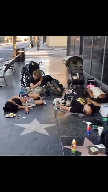 LIVING IN DEMOCRAT CONTROLLED STATE🏢⛺️🚶‍♂️💉🧟‍♂️📸 CITY HOLLYWOOD-LA-CALIFORNIA💉🧟‍♀️⛺️🏨💫