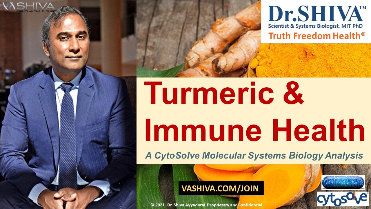4 Ways How Turmeric Affects the Immune System