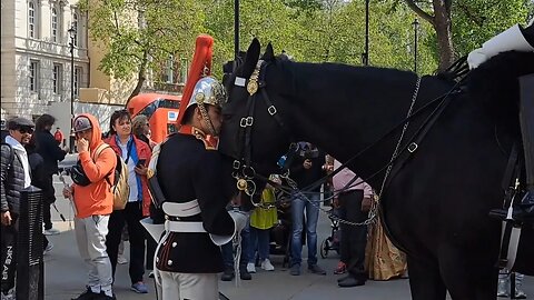 A wonderful moment the kings guard kisses the horse on the forehead #thekingsguard