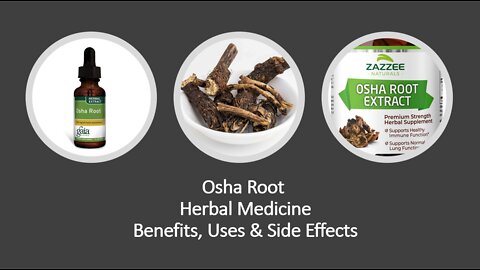Osha Roots - Ligusticum porteri - Herbal Medicine - Benefits, Uses & Side Effects