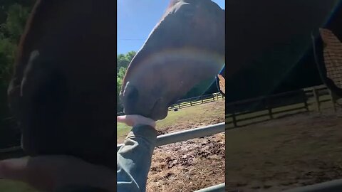 Morning workout