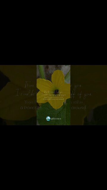 Romantic Quotes on Love #shorts #short #shortsyoutube #bookiva8508 #bookiva