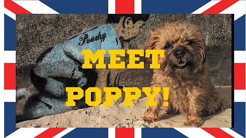 Meet Poppy