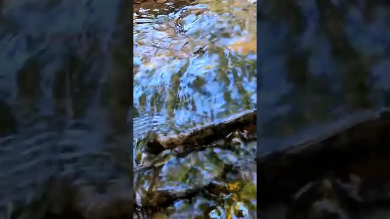 💧WATERART 🎨 CHECK OUT THE CREEK COLORS VIDEO! #waterart #visualart #water #art #visual #flow #asmr