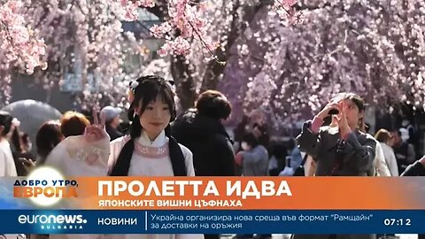 Японските вишни цъфнаха по рано