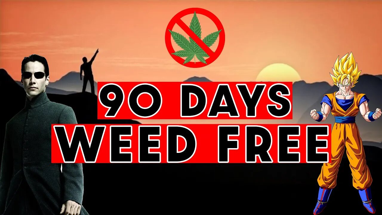 90 DAYS WEED FREE (Update + How I'm Feeling)