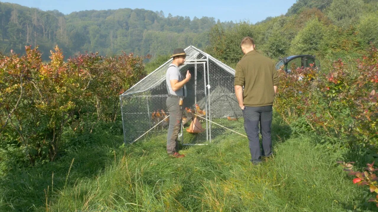 Welcome To Austria's Apricot Lane Farm