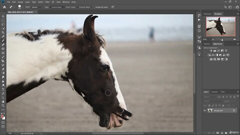 Photoshop Editing & Image Retouching : Part 2; Spot Healing