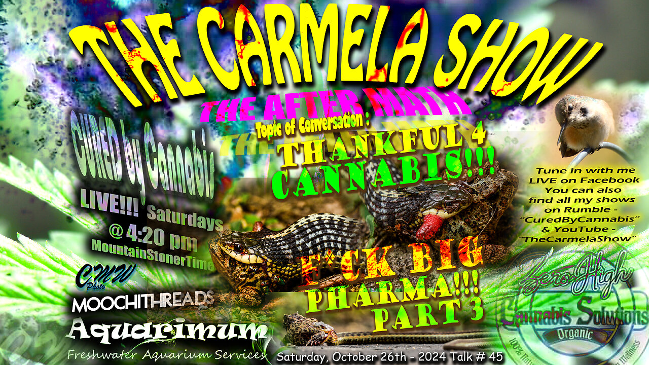 The Carmela Show TALK# 45 - "Thankful 4 Cannabis - F*cK BiG PhaRma - PART 3"
