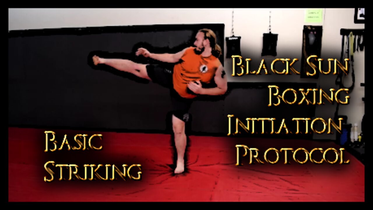 Basic Striking - Black Sun Boxing Initiation Protocol - Part 2