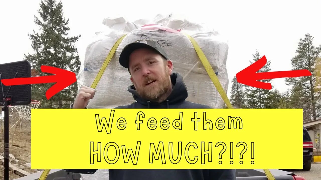 We feed them HOW MUCH?!?!?!