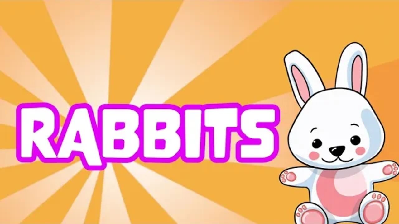 Rabbits at the SPCA for adoption $25 (reduced fee)