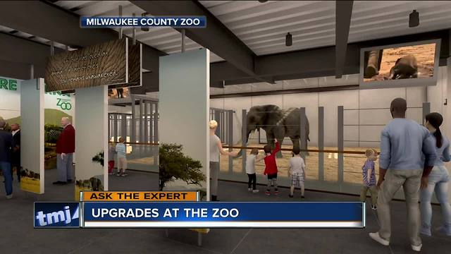 Ask the Expert: Upgrades at the Zoo