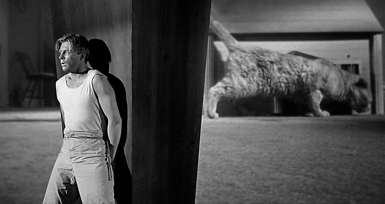 The Incredible Shrinking Man (1957)