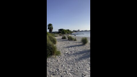 Lune beach day