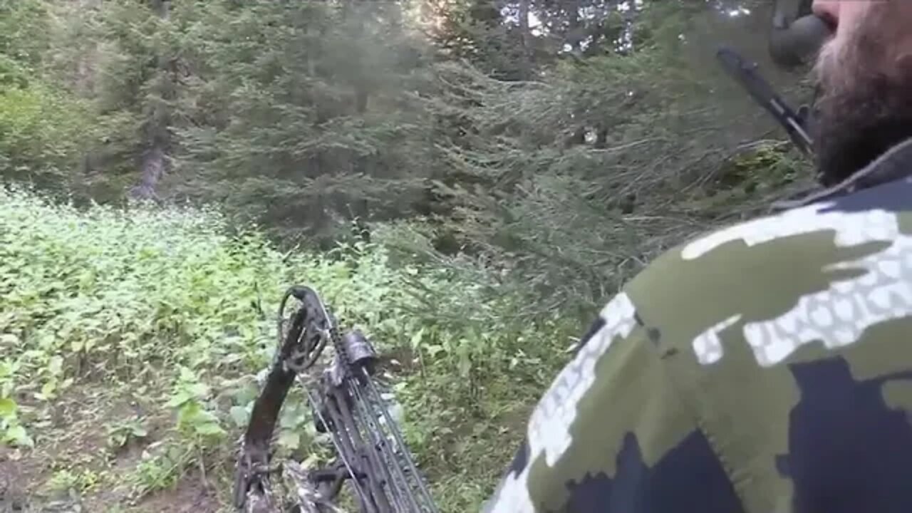 8 ~ 2019 Idaho Archery Elk Public Land Hunt MARKSMAN'S CREED 6