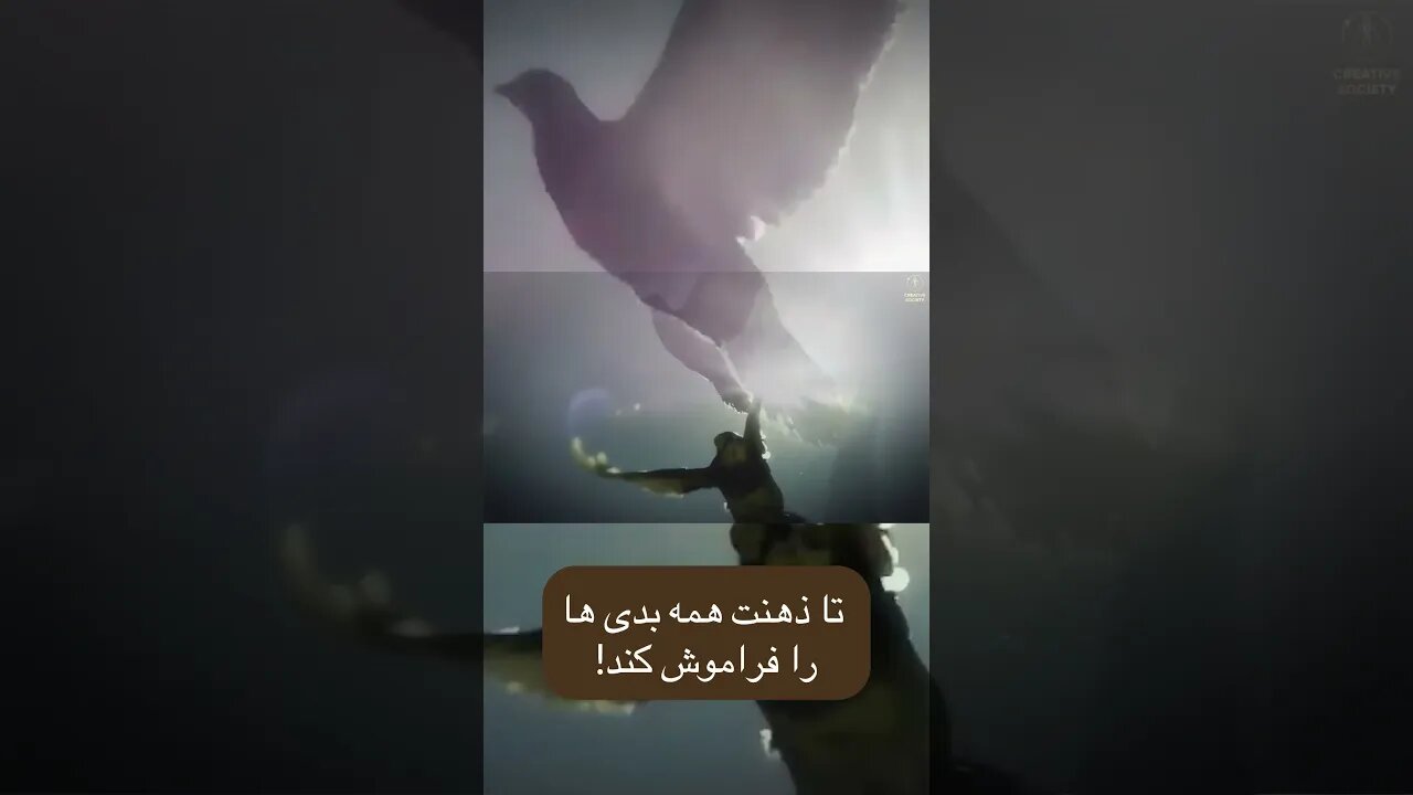 تا دلت از خطای مردم بگذرد! #shortsvideo #shortsfeed #shorts