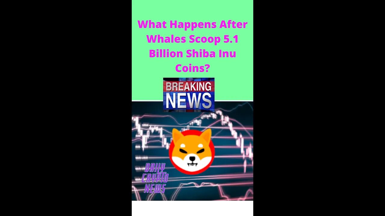 What Happens After Whales Scoop 5 1 Billion Shiba Inu Coins