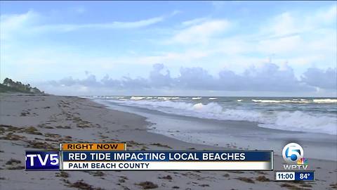 Martin County beaches, Delray Beach back open follow closures from red tide