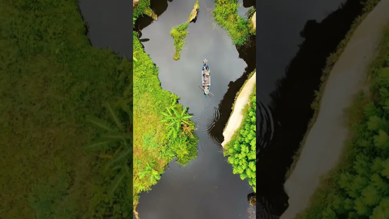 #nature #life #earth #peace #animais