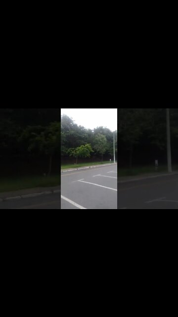 olha o trem chegou 2 #shorts