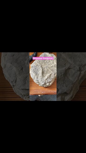 Jurassic Dinosaur Footprint from Whitby, UK! #fossil #dinosaur #footprint #jurassic