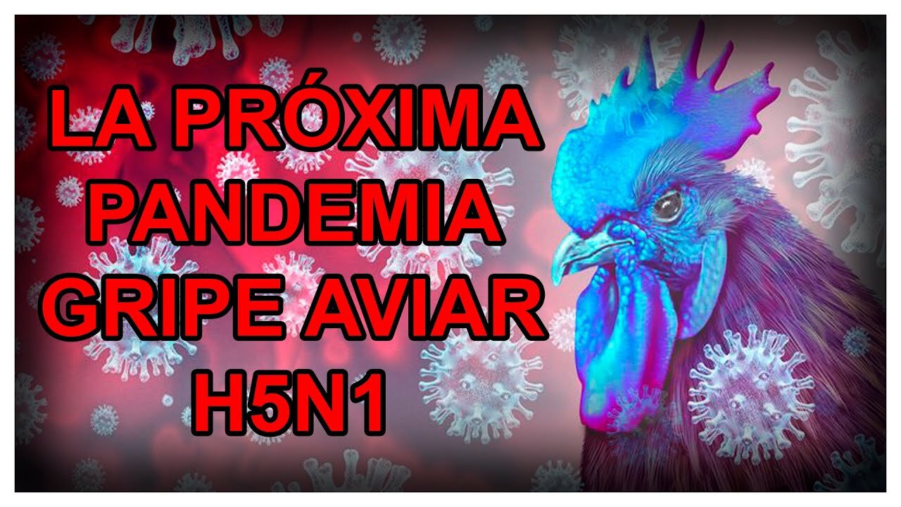 LA FDA(Food and Drug Administration,il dipartimento della salute)AMERICANO SI STA PREPARANDO A UNA FUTURA PLANDEMIA D'INFLUENZA AVIARIA H5N1 CON VIRUS SINTETICI FATTI IN LABORATORIO PIANFICATA DAL WEF PER FARE IL GRANDE RESET ECONOMICO MONDIALE