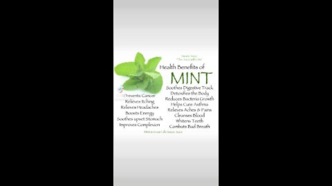 mint leaves