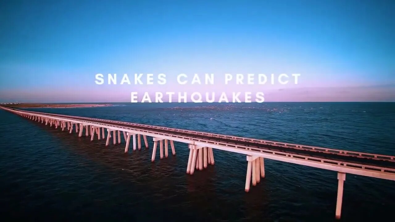 RANDOM FACTS! For The Curious Mind Vid#48 #Shorts