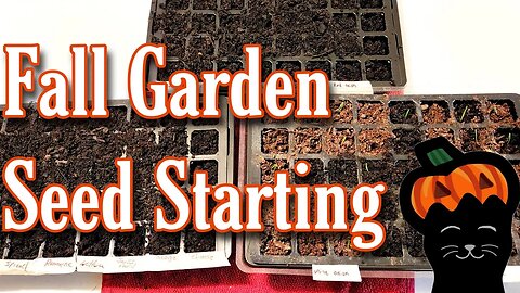 Fall Garden 2022 and Planting New Varieties