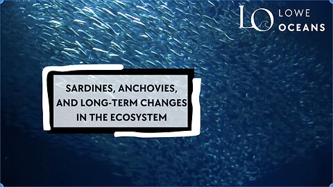 Sardines, Anchovies, and long-term ecosystem changes!