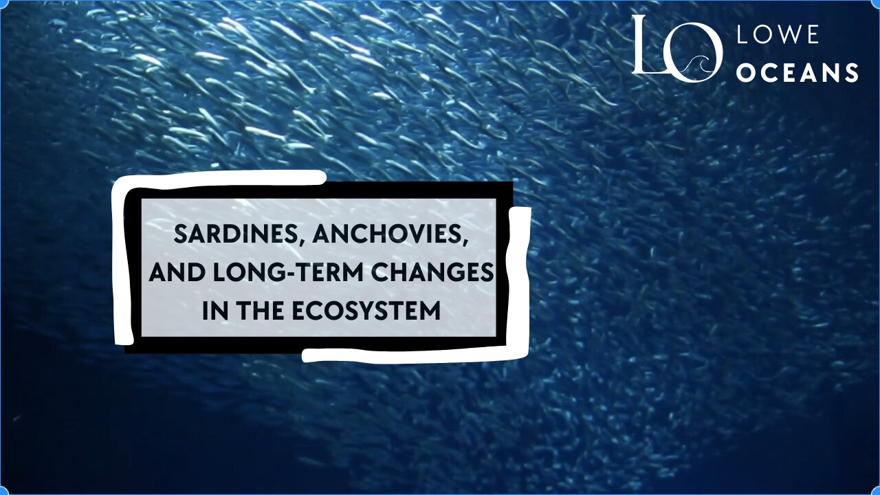 Sardines, Anchovies, and long-term ecosystem changes!