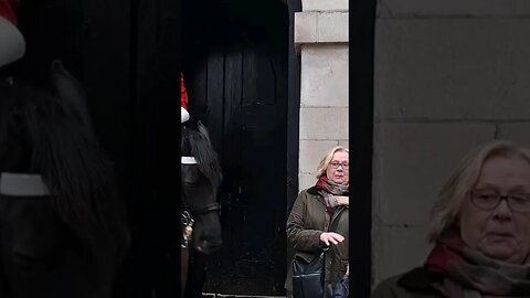 The horse almost pushes her over #horseguardsparade