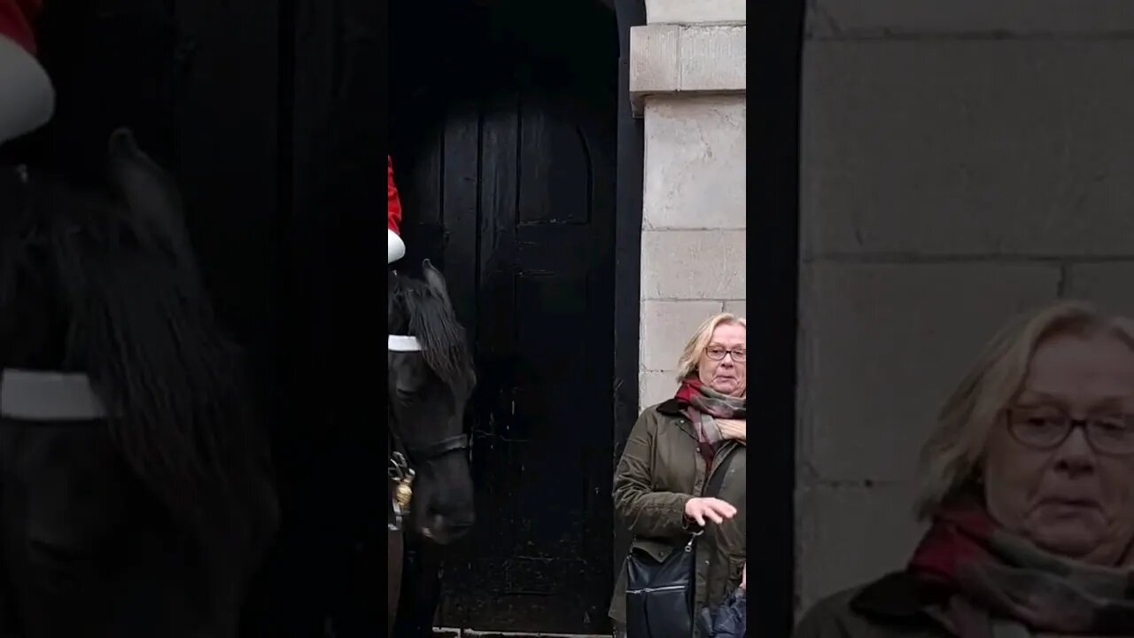 The horse almost pushes her over #horseguardsparade