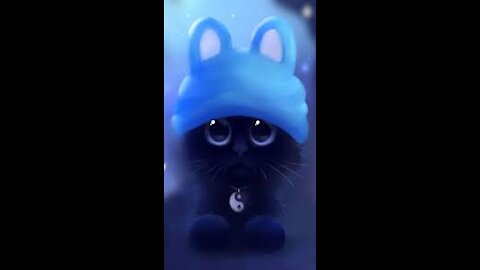 Funny Cat video