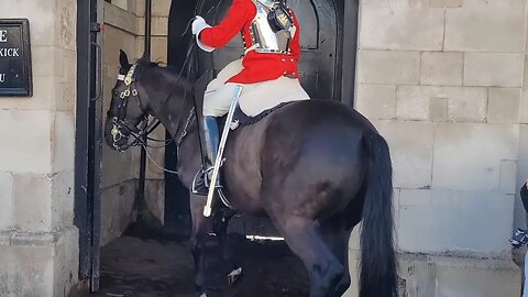 Disrespectful tourist scream and laughs. police tell them to stop screaming #horseguardsparade
