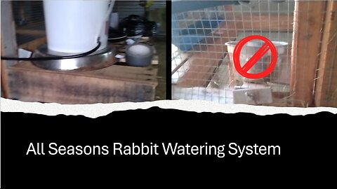 All Seasons Rabbit Watering System