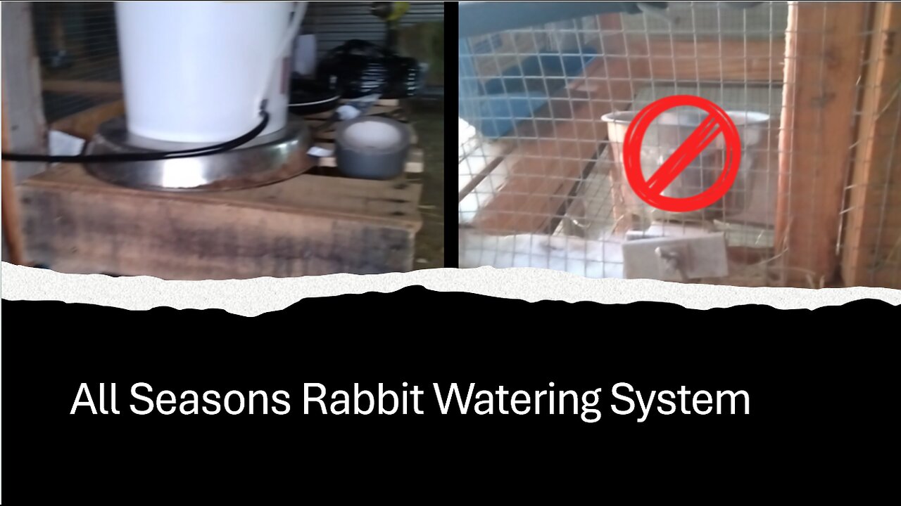 All Seasons Rabbit Watering System