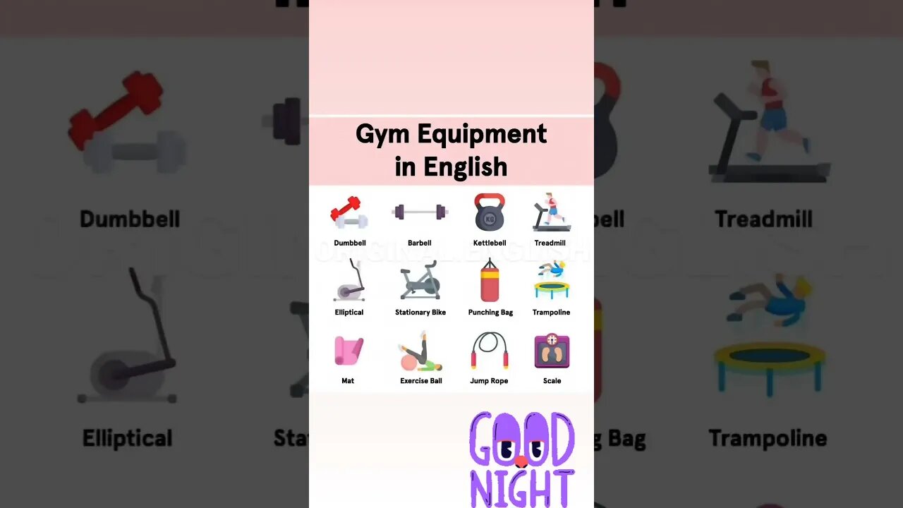 NAME GYM EQUIPMENT