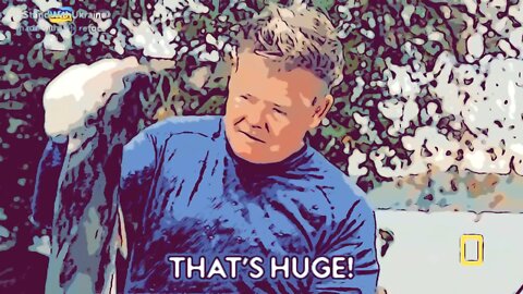 The Ultimate Donald Trump Fish Meme! 🐠