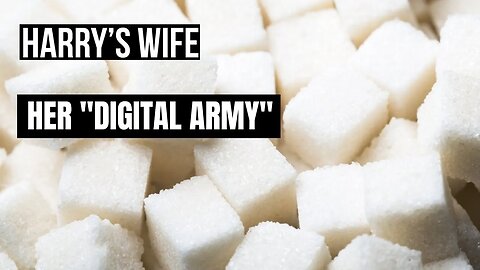 Harry´s Wife :Her Digital Army ( Meghan Markle)