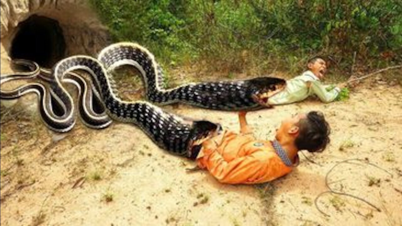 Snake Gaming & Attract Snake Boy in china😂