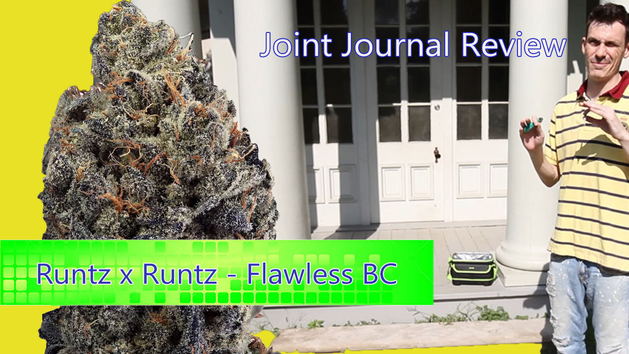 Kushector Joint Journal Review - Runtz x Runtz by: Flawless BC